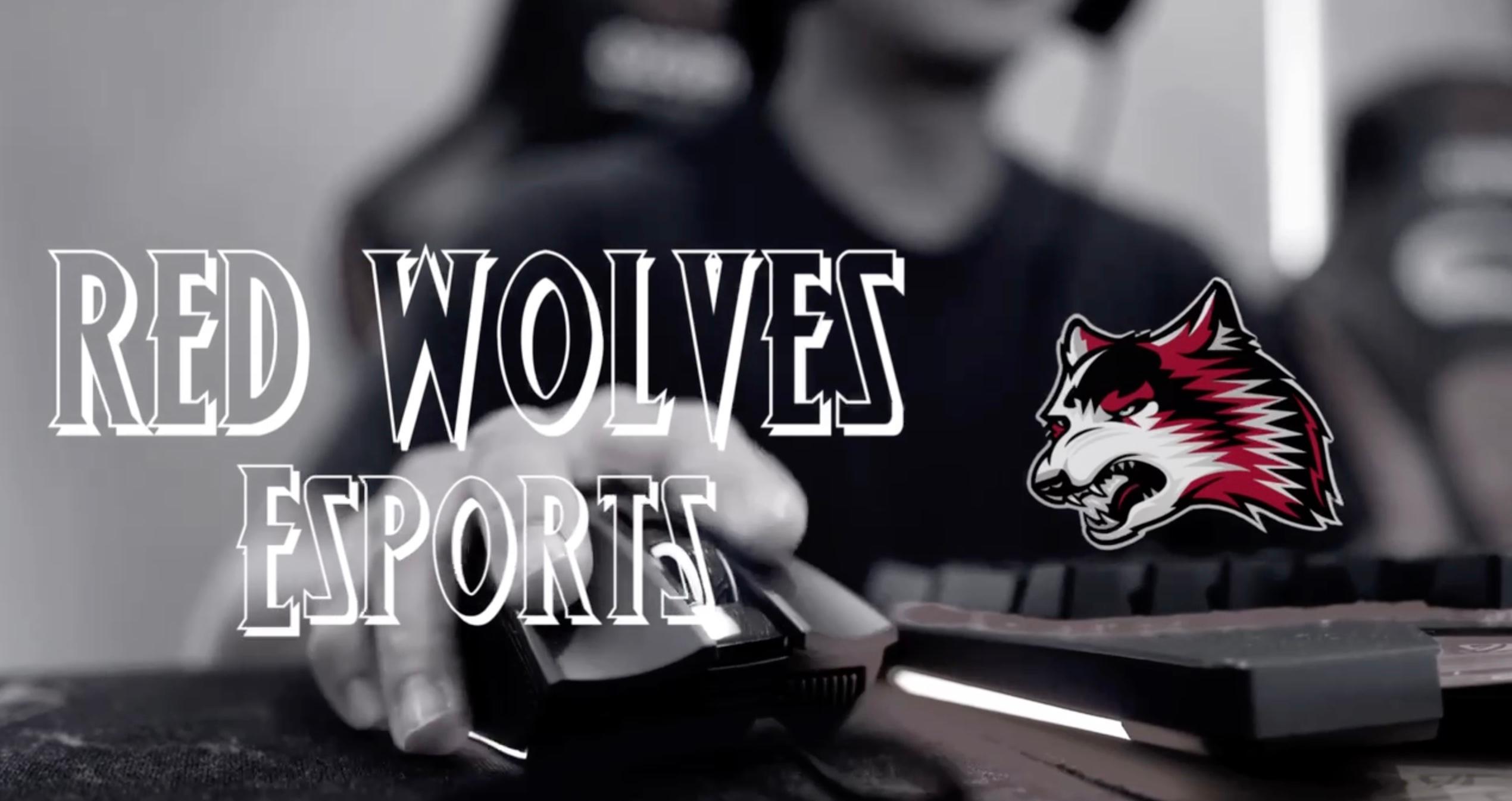Esports Earns Multiple Playoff Berths