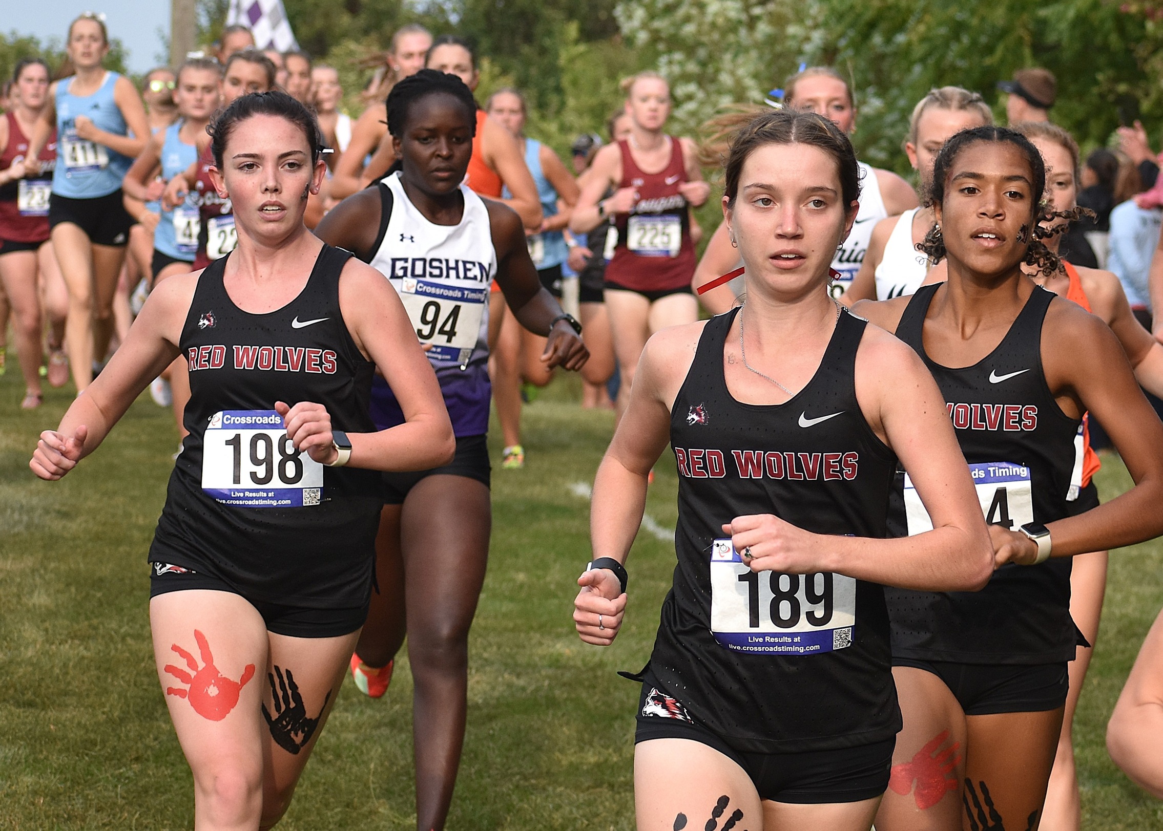 Women's Cross Country: Wildcat Twilight Invitational Recap